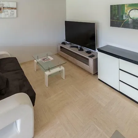 1br Alexandre Iii 公寓 戛纳